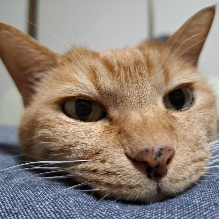 2d5ddf4c 74f8 4663 8c8d 535f939eb75f 1737410402887