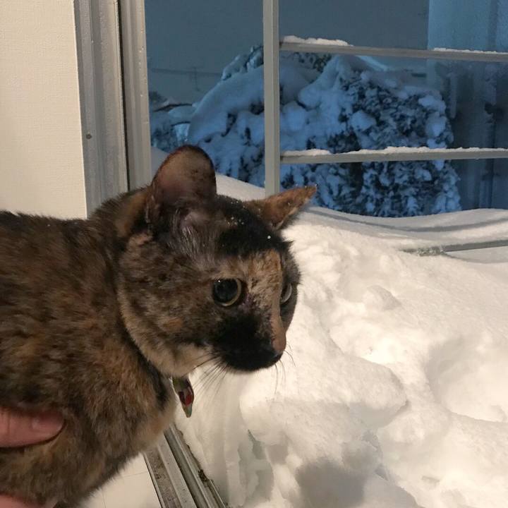 2d5df0ac 67d3 44f2 9e9e 4e14909fd118 1516630043551