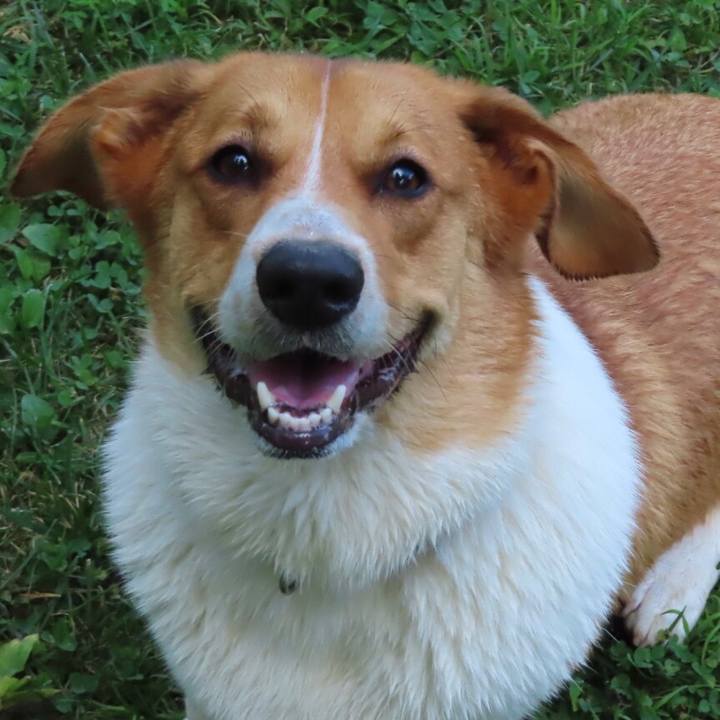 2d5e23bf 17c6 4544 88da ae04a3a927c2 1628814709562