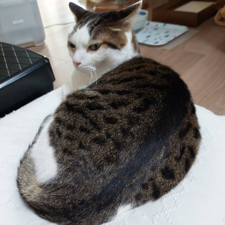 2d5e47b1 8638 4722 a814 b6a6c278e54c 1741994436914