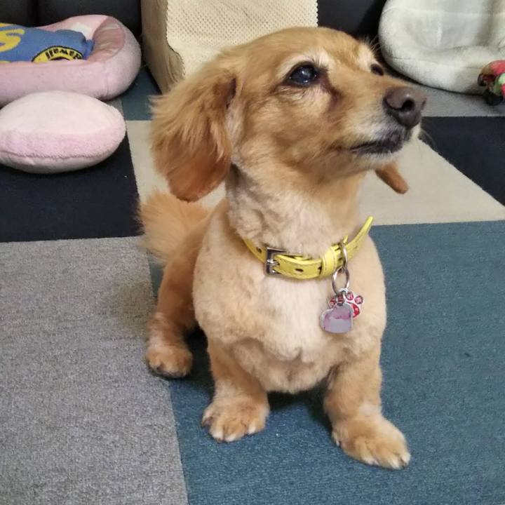 2d5eb8f9 a135 4c54 bf72 8495bc6f0ced 1597042165563