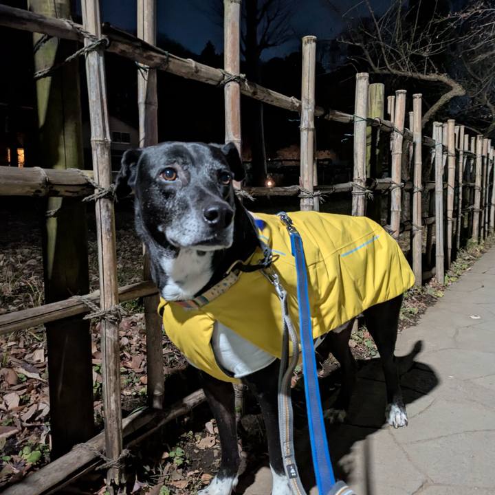 2d5edfe9 f7a0 4ea4 b0b8 746ed1381928 1737802750862