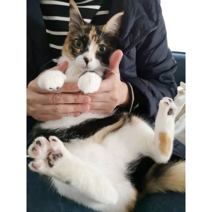 2d5f27e4 325a 4064 83a2 934a12f85025 1608472700959