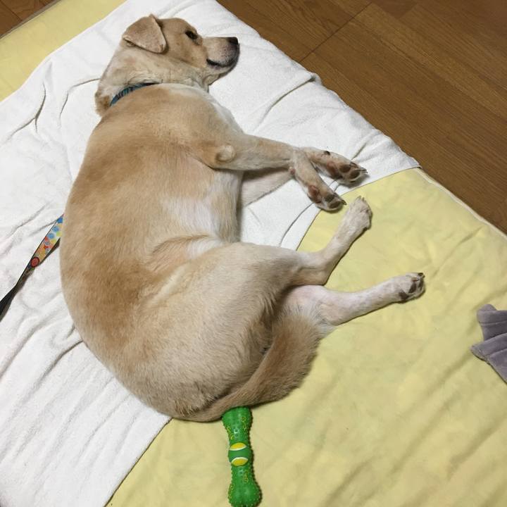 2d5f3bb3 97c7 47d9 8b6d 3f0ddcb52d87 1536765223441