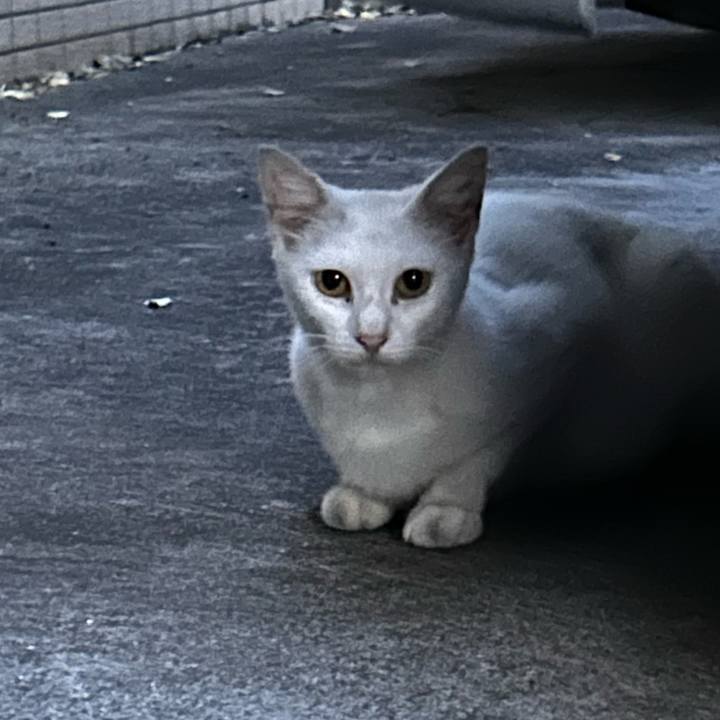 2d5f9890 1578 437f be6d aa25b1564d9c 1751109398293