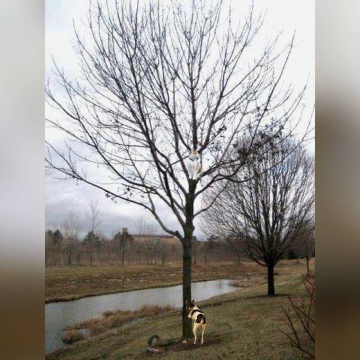 2d5fb2b2 e4fc 4c7a af2a 7a4ae9b1903c 1680304560274