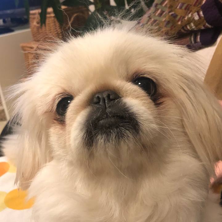 2d5fd962 0e22 4cc0 a6c6 8e614049a2ba 1544192319562