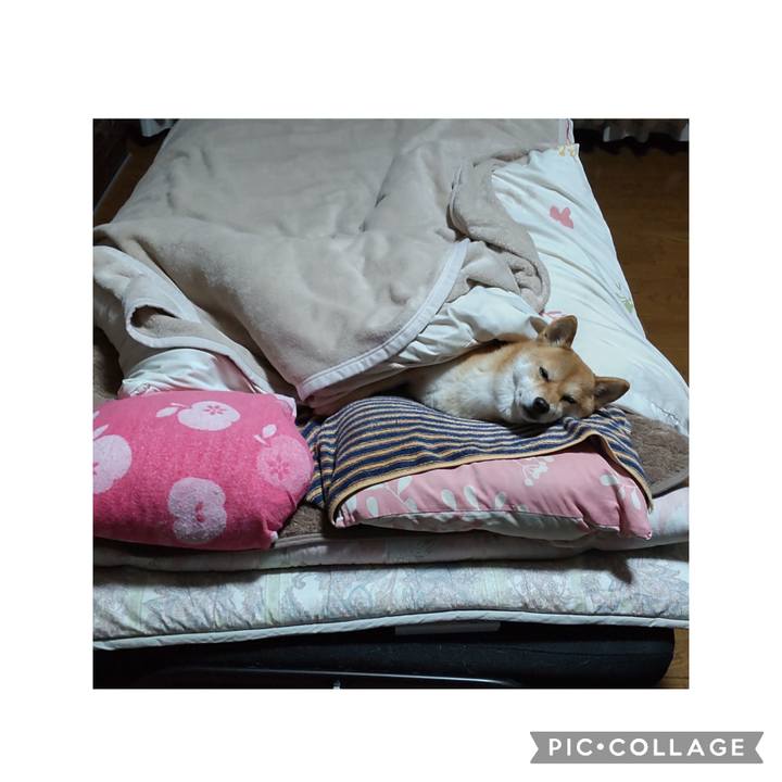 2d5fda5b 8692 4be5 9752 97338068e608 1673570896066