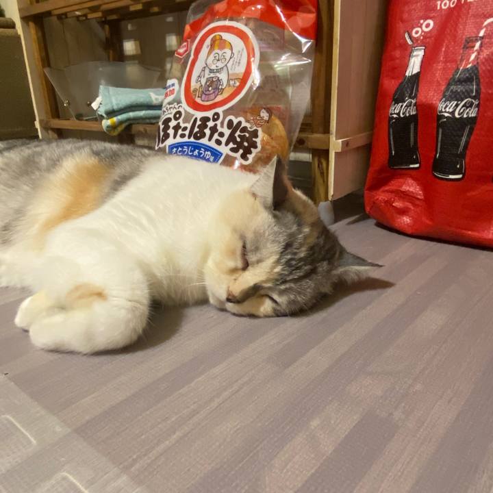 2d5fe3c6 8121 46ec 9063 89e8e2052a36 1632223067000