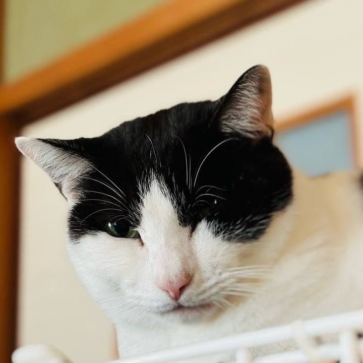 2d5feca0 213c 411e bb7b 871cd896faab 1671506333980