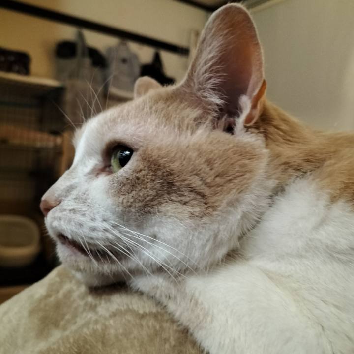 2d5ffb27 073c 4f98 b16d a301c53475e2 1645959325276