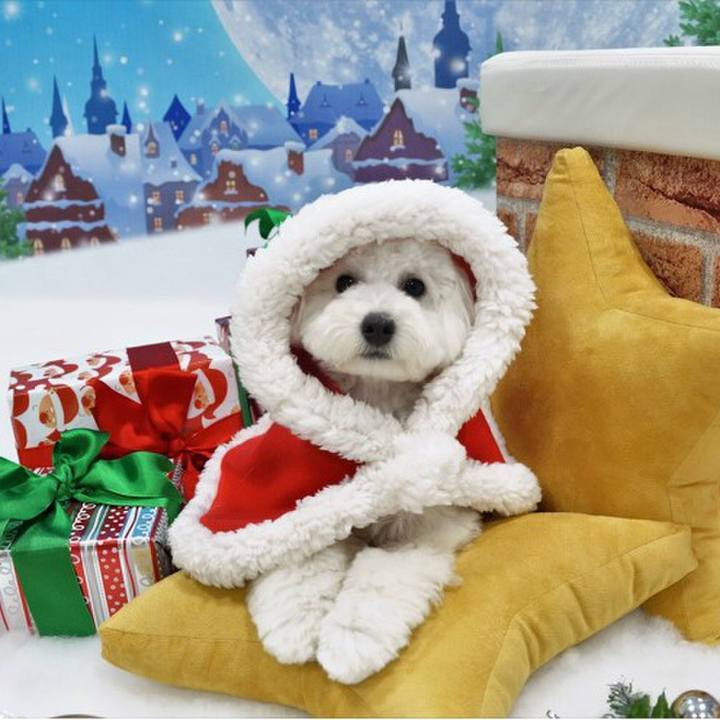 2d600c35 5bbf 4be8 bd8e 4efeb6635bab 1545383291448