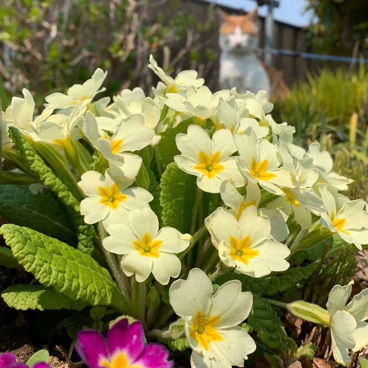 2d601d84 95c6 42dd a75f 680d401eb2e3 1586917550252