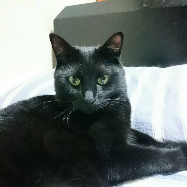 2d602078 175f 4930 a403 64538a16fe22 1533171892106