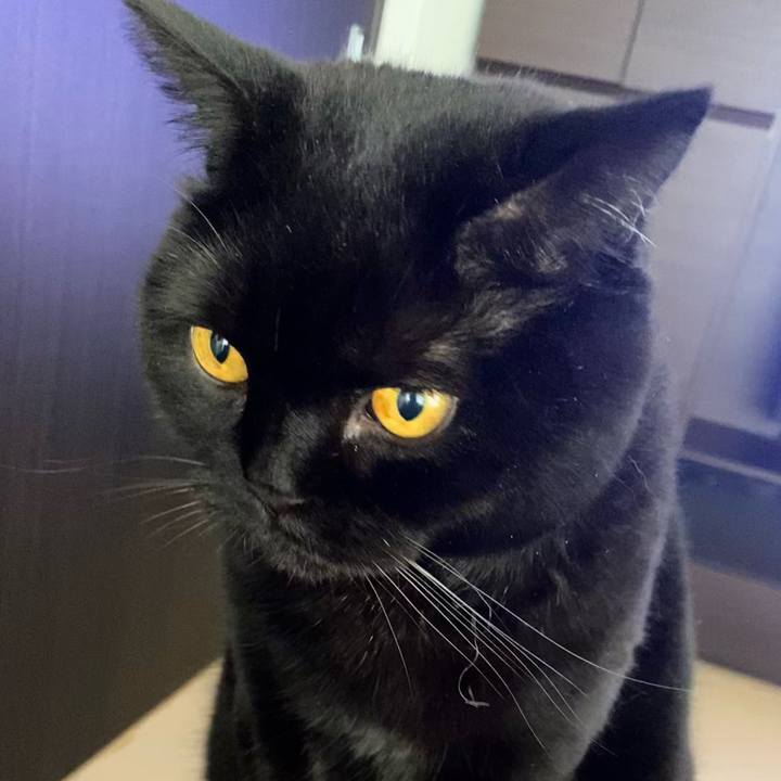 2d604e0a ef28 49cf 8a69 204027f70f63 1762685019459