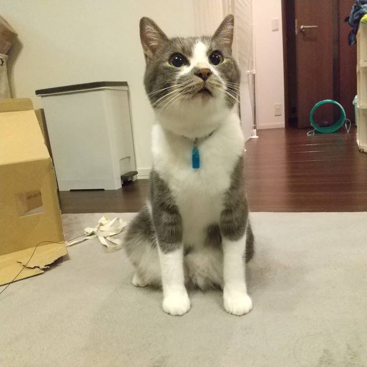 2d606ae7 1cdb 4633 8cc0 9f340c756c1a 1605012589281