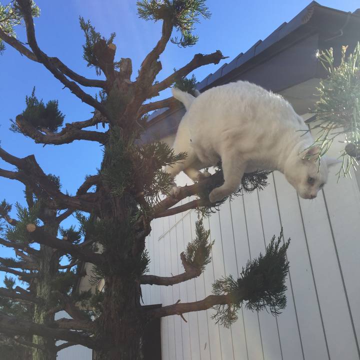 2d608afc d116 4e1c 8d64 a47f31cd3630 1545627903055