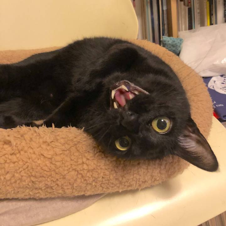 2d60bdc1 4e67 4971 9ffa 06f119d1079b 1557312338952