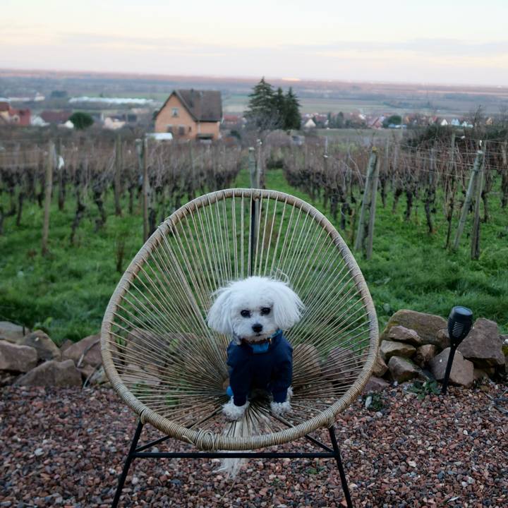 2d60c226 be39 4bf5 b6c3 12ffdf863f9c 1767135415908