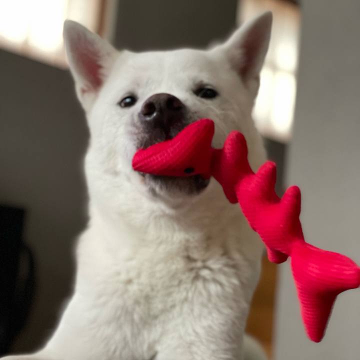 2d60c9a4 a4c1 4329 90a6 b6a414c4403c 1639877263062