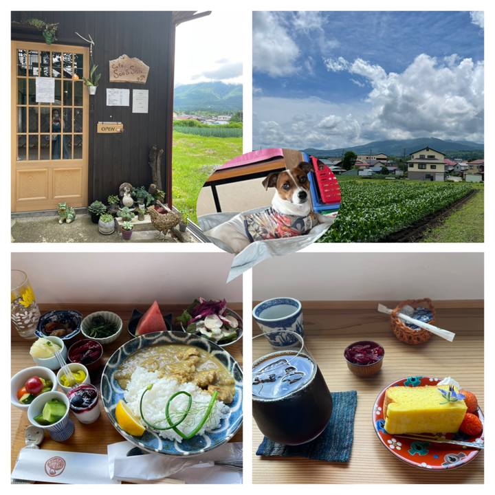 2d60d5f1 3716 4b38 b91d 4f1de91bca6a 1625285920562