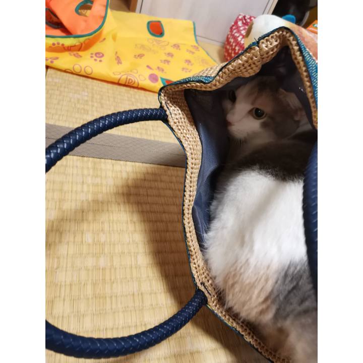 2d614c5f c175 4793 a438 80f913492ff2 1659929005624