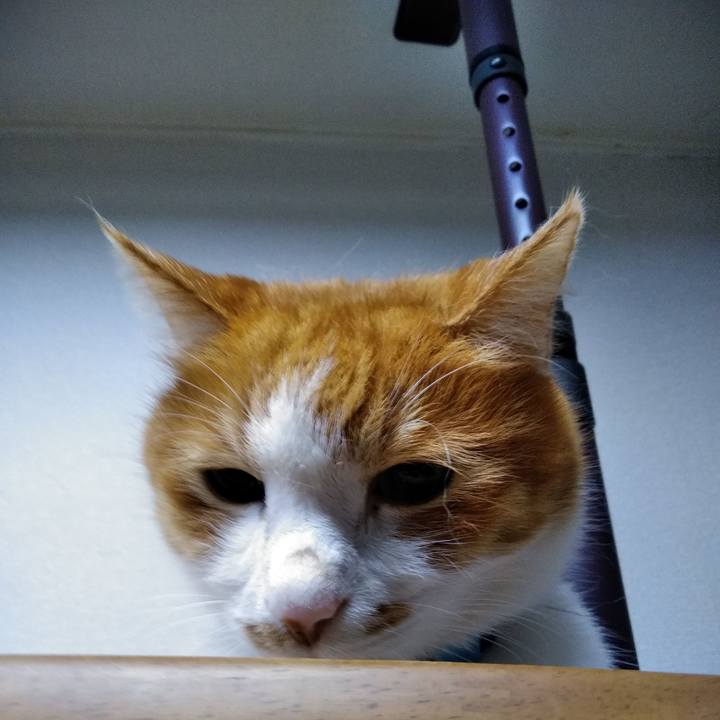 2d6181d1 2e04 4b0b a84f 25bd02b8e439 1579688004312