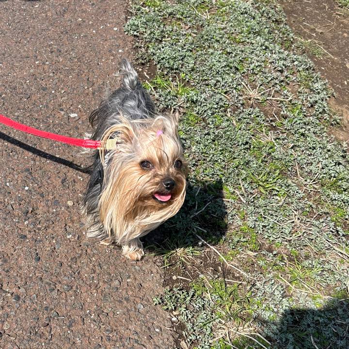 2d618b1a e500 4506 a635 a145db0d6874 1772852790275