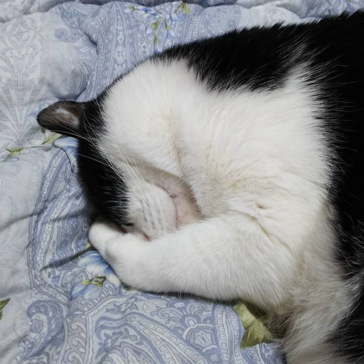 2d61a40d 302e 4a58 9eb5 0e845e7a4ccf 1548598695450