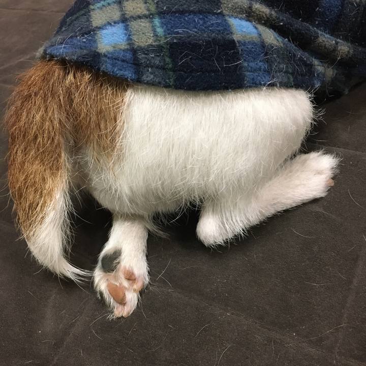 2d61ba17 66f2 42e8 abee d546197c14f5 1581895083082