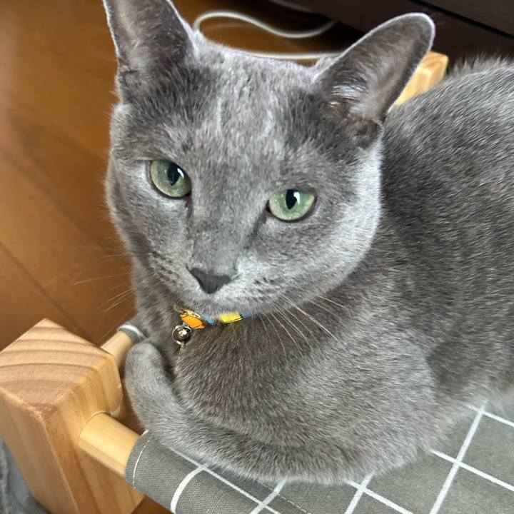 2d61ba79 1d99 4422 afb6 20dcffd9d58c 1689811508746