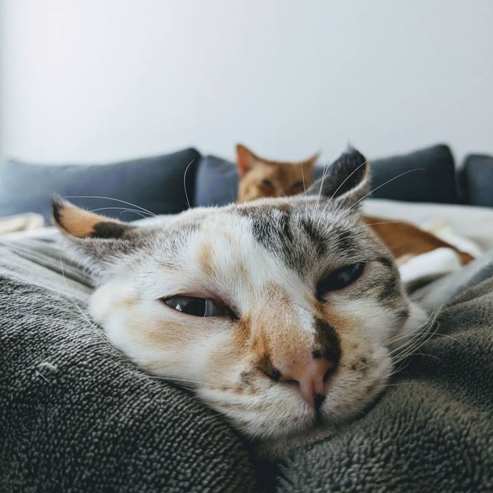 2d61d930 9bed 4c19 bc5a 27e422a25d2c 1745977546840