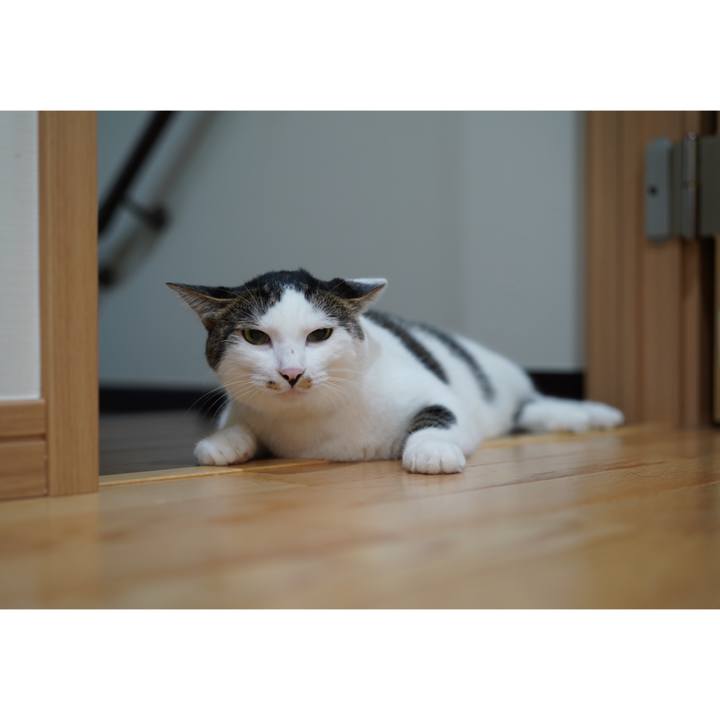 2d61e0b5 6d0f 41c6 bea1 1319134a53d3 1566171770457