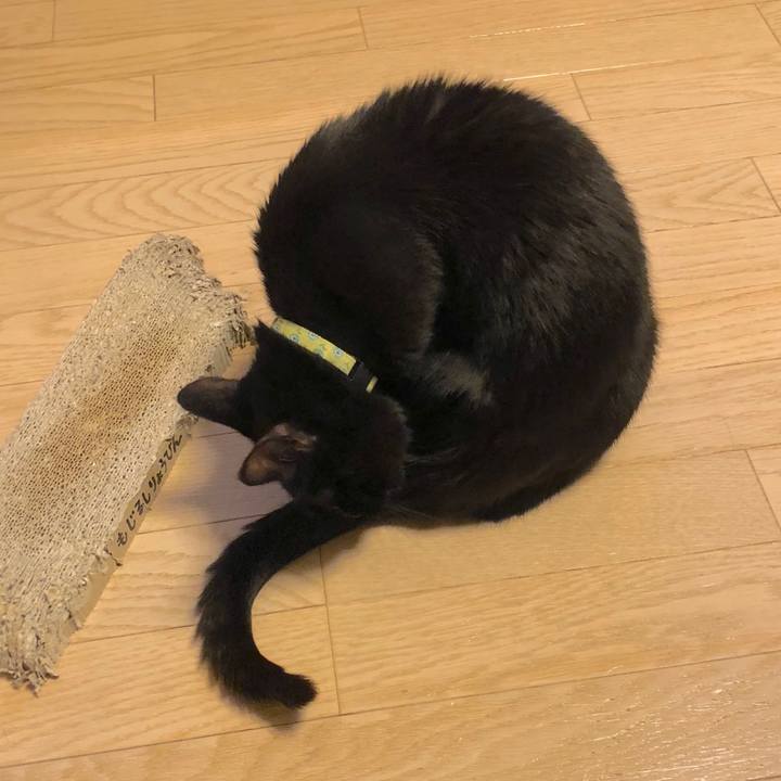 2d61f0f7 f148 48f7 8c5e c540c3ff99f1 1527681391129