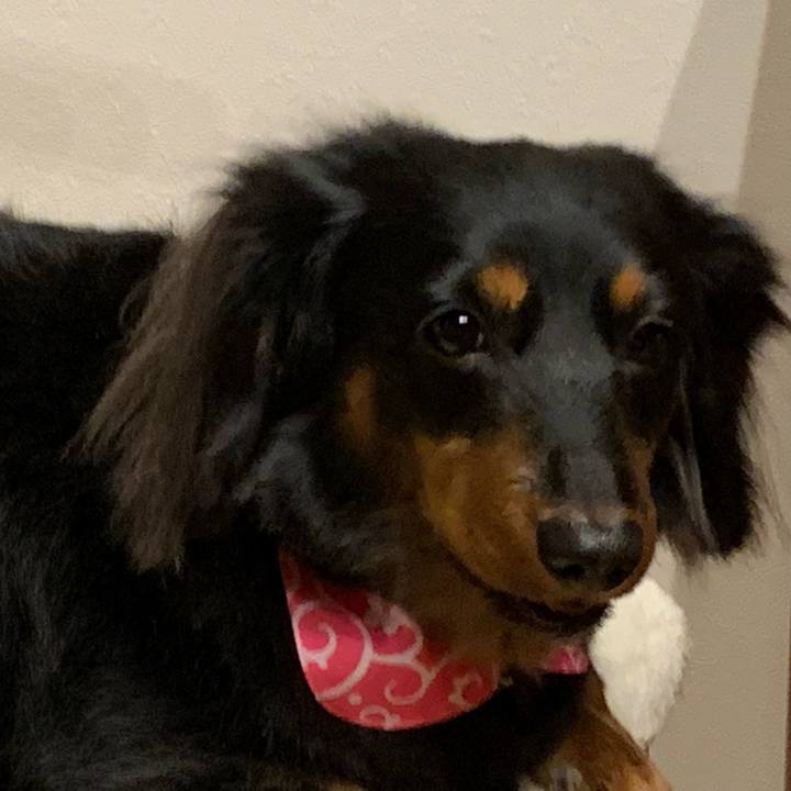 2d620d94 44a5 4df1 ae77 d7672281d7d9 1579340375358