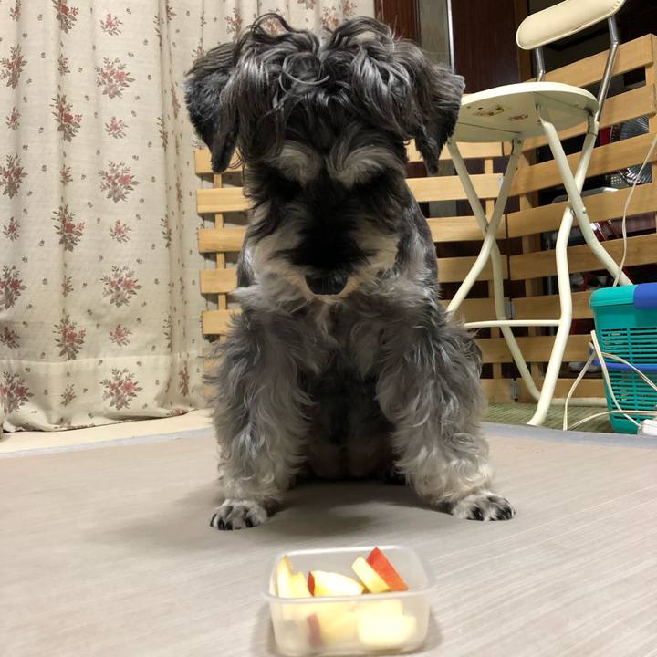 2d620f6f aa43 43ef a43f 0e0e06d2dd02 1633174069835