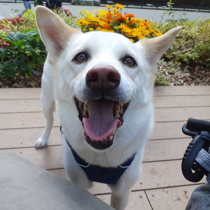 2d622e86 24ff 4b0f a2f7 ba08d92325db 1683345845709