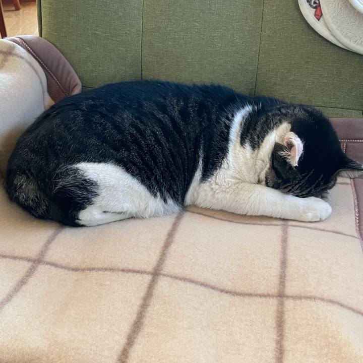 2d623f76 8d45 49f1 bf33 d9c98c179433 1667369684459