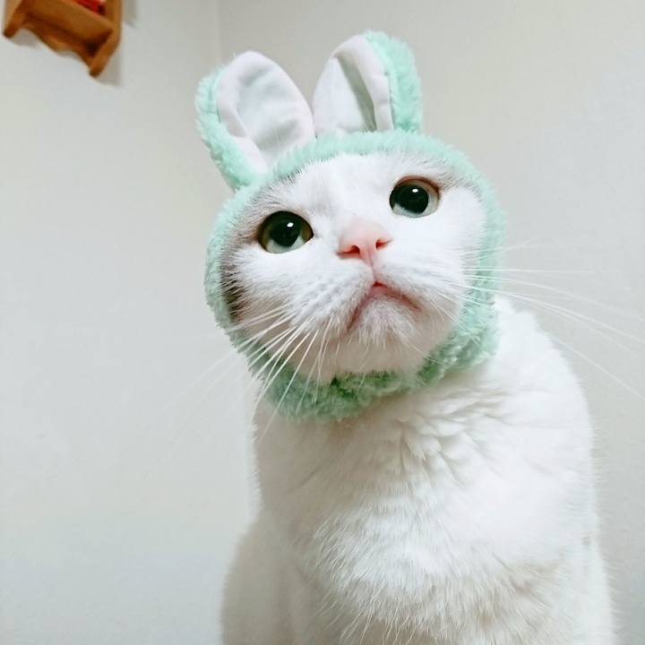 2d626617 78e4 4811 a849 3a58781c88b8 1508577615713