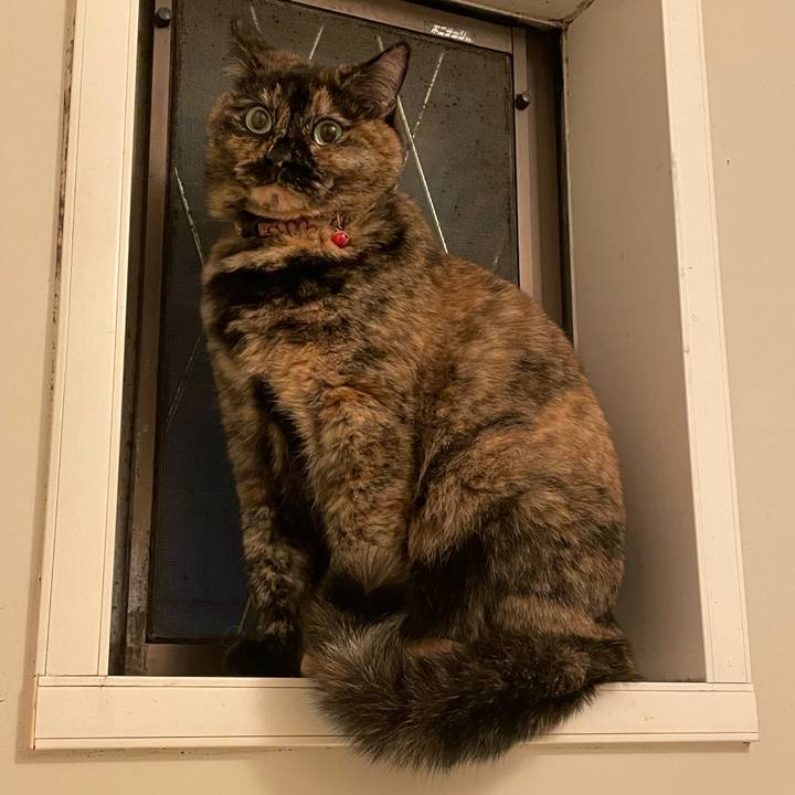 2d628602 db6c 45b7 869b 60dc94e6d328 1702479049267