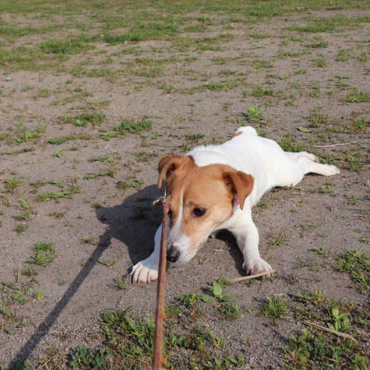 2d628ba4 6668 4526 b435 832379022bd4 1522825041390