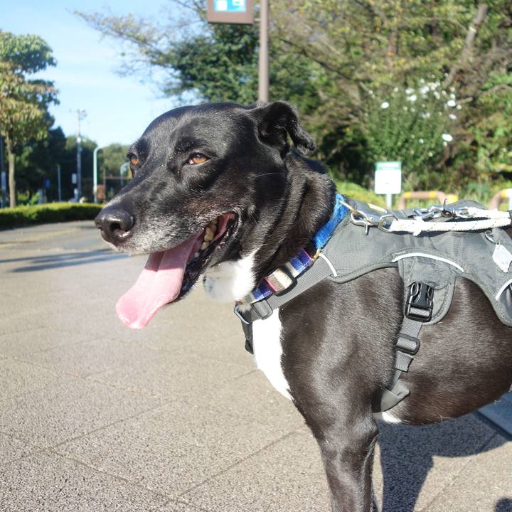 2d62af9e 9a95 4c98 ba6c dbcd72d88a2e 1664843563300