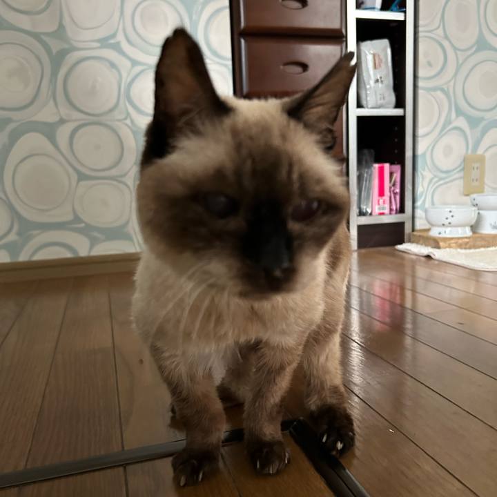 2d62e819 fa87 4812 84df 027a49915747 1717118297962