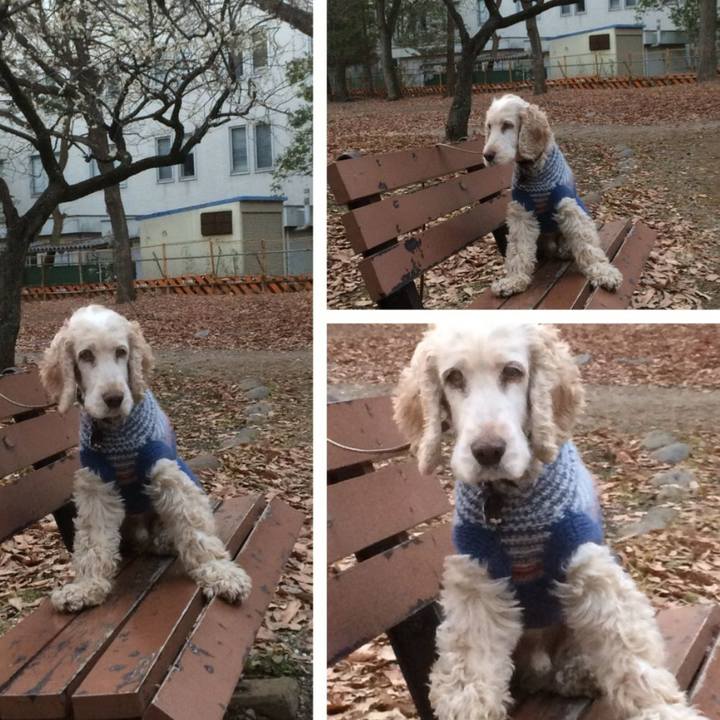 2d62fd3b c819 4028 be93 305ea599b793 1520517651863