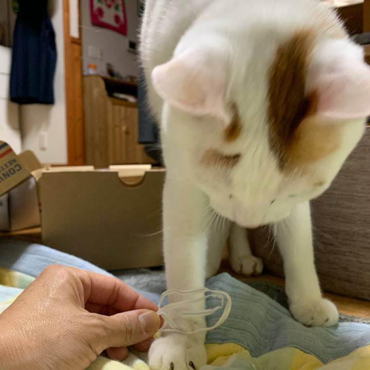 2d633057 b3af 4dcf 8cfb 986894c6b1bf 1557412645027