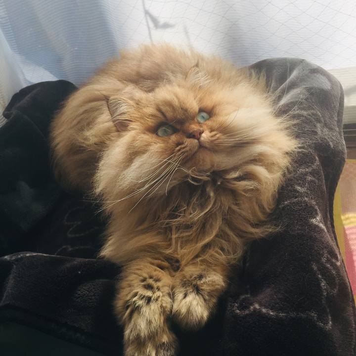 2d634492 bad0 49d5 99a3 12b32983ef5f 1547689261079