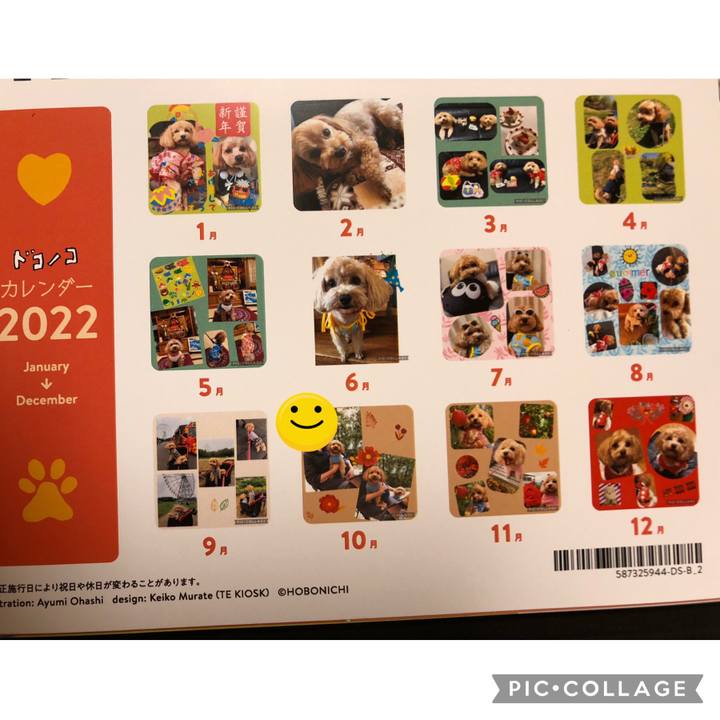 2d635d89 6a37 4980 ad23 9c134d678a5f 1637331025251