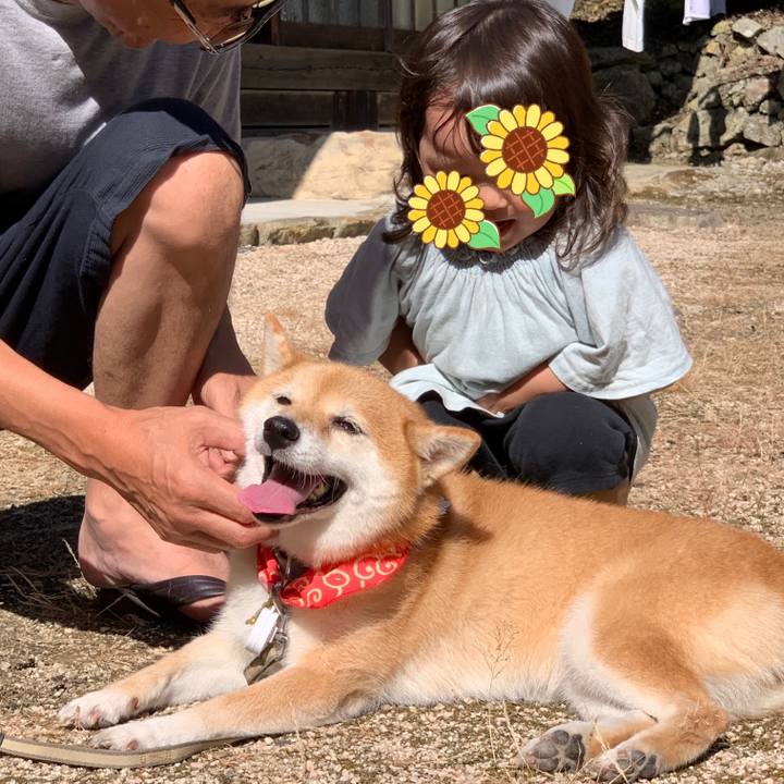 2d63d078 df6f 4d6a 9f08 a25d76c80260 1565616877257