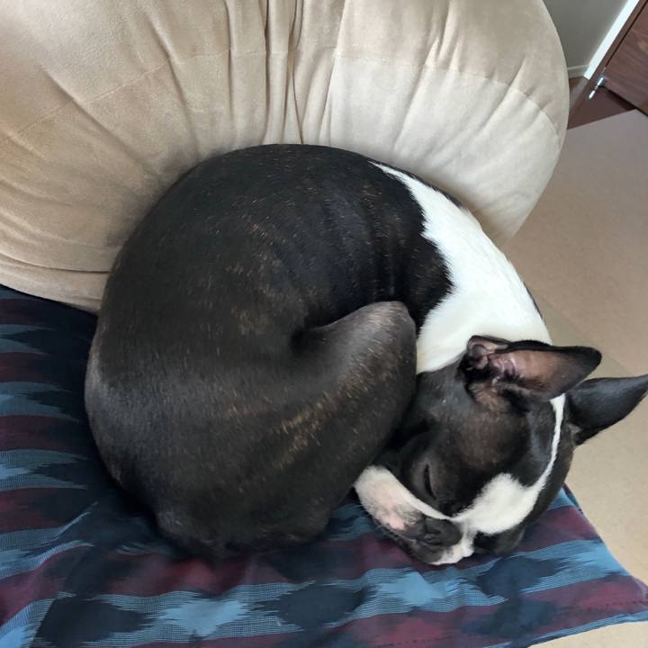 2d63e704 86ea 4b86 a15f f52d2ea56892 1649330381837