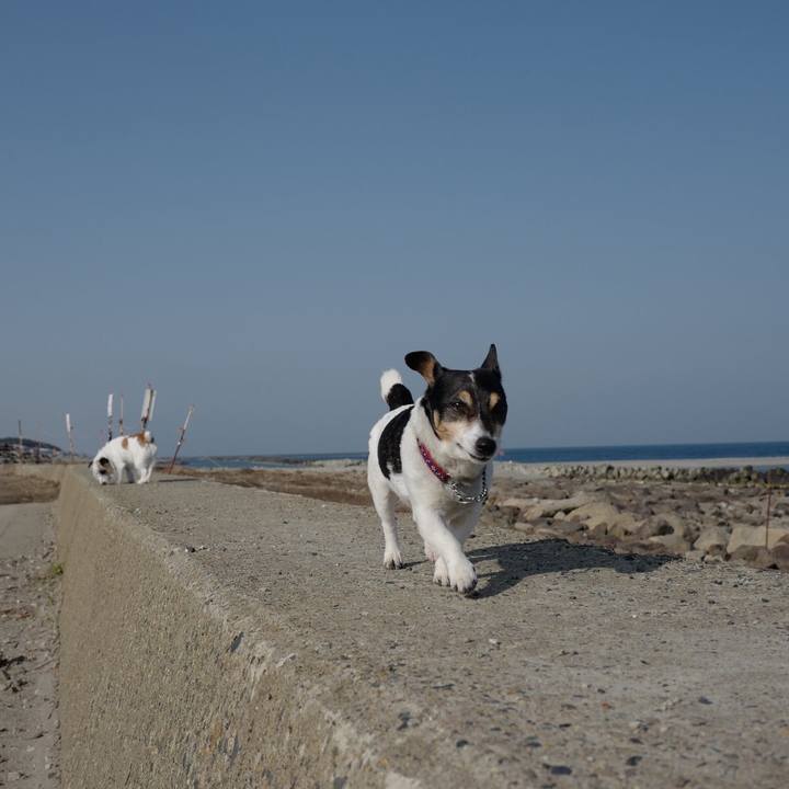 2d63ff65 068a 4205 849e def0e8afdf76 1522036844411